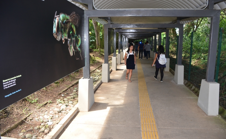 Exhibición Red de Áreas Protegidas de la Universidad de Costa Rica (UCR)